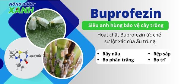 Hoạt chất Buprofezin – Siêu anh hùng bảo vệ cây trồng
