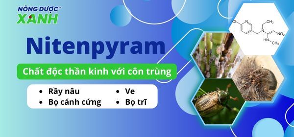 Hoạt chất Nitenpyram – Diệt côn trùng nhanh chóng và hiệu quả