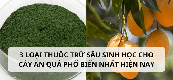 3 loại thuốc trừ sâu sinh học cho cây ăn quả phổ biến nhất hiện nay