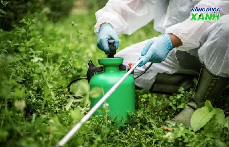 uploads2f20242f072f172f018205162ce984ffdab36a64f3338d8919e1ec232fpha-hon-hop-thuoc-chinh-xac pha-hon-hop-thuoc-chinh-xac.jpg