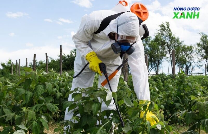 uploads2f20242f072f172f21281a079fc0f9e80cfa912202f4396a477a42582fsu-dung-bao-ho-lao-dong-phu-hop su-dung-bao-ho-lao-dong-phu-hop.jpg