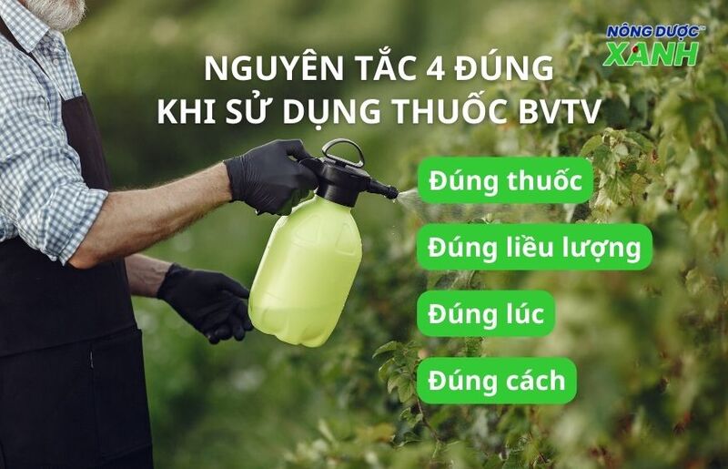 uploads2f20242f072f172f4aa35f8517b3aa60bb253b18292fbc694f7fd5302fnguyen-tac-4-dung-khi-dung-thuoc-bvtv nguyen-tac-4-dung-khi-dung-thuoc-bvtv.jpg