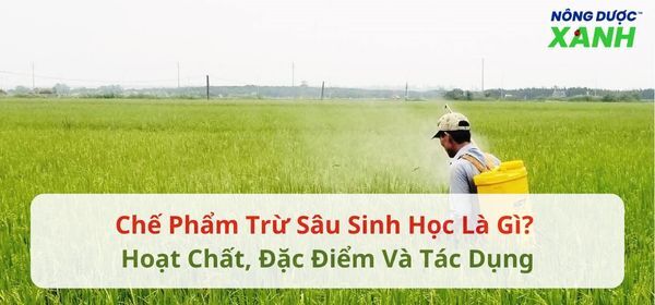 Chế phẩm trừ sâu sinh học là gì? Hoạt chất, đặc điểm và tác dụng