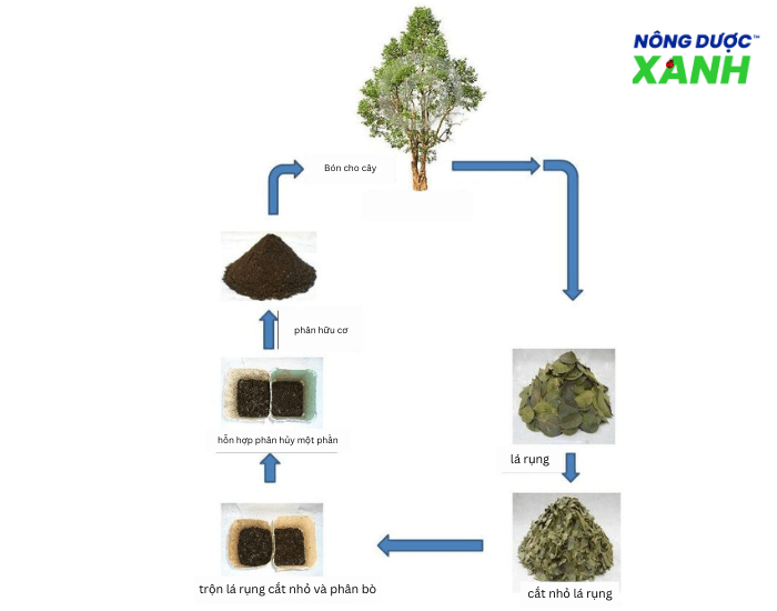 uploads2f20242f072f222feee78885d119459b6290bff1e9a9257a00bd4bdb2fquy-trinh-san-xuat-phan-trun-que quy-trinh-san-xuat-phan-trun-que.png