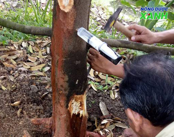 uploads2f20242f072f232f0db9588f3fed3bf434eebc3a437862df0dd2a4712ftiem-thuoc-tri-benh-nut-than-xi-mu tiem-thuoc-tri-benh-nut-than-xi-mu.png