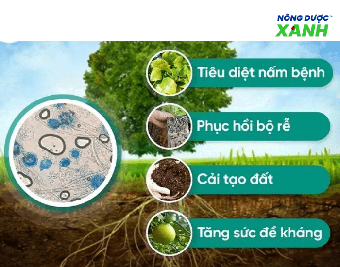 uploads2f20242f082f022f963dd07ccbc0a9c06523d73155d63e68dbd652b92fung-dung-nam-doi-khang ung-dung-nam-doi-khang.png