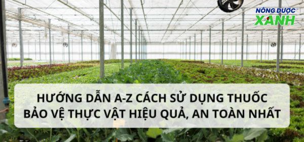 Hướng dẫn A – Z cách sử dụng thuốc bảo vệ thực vật hiệu quả, an toàn nhất