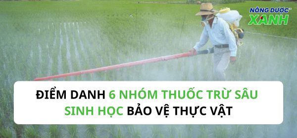 TOP 6 nhóm thuốc trừ sâu sinh học phổ biến nhất hiện nay